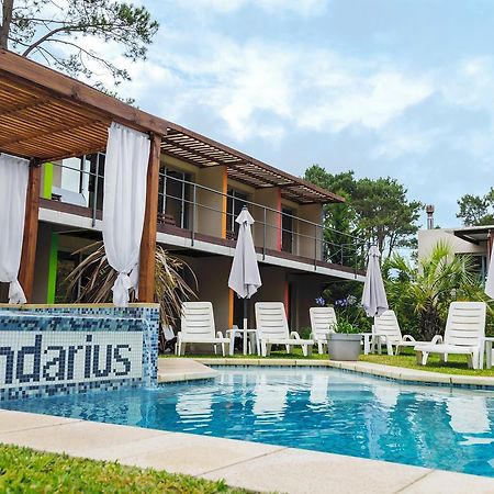 Undarius Hotel Chihuahua ภายนอก รูปภาพ